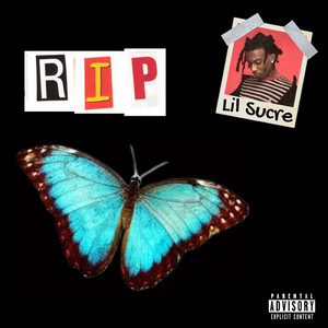 情色欧美老妇女xx
